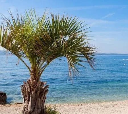 Apartament Large Felicita Near Center Split