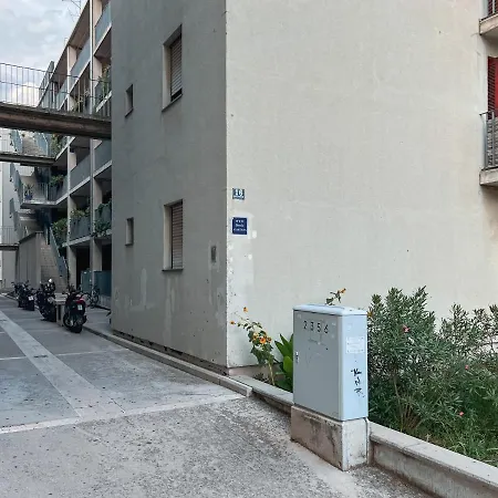 Large Felicita Near Center *